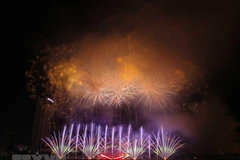 Images de l’ouverture du Festival international de feux d’artifice de Da Nang 2019