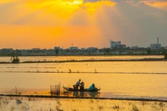 Mise en œuvre d’un projet de gestion des ressources naturelles dans le delta du Mékong 