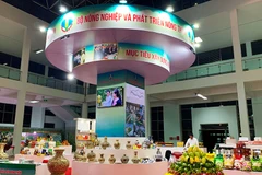 Foire agricole "One Commune One Product" (OCOP) 2020 à Lao Cai