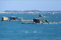 Développer l'aquaculture marine industrielle combinée au tourisme