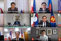 Le Vietnam copréside la 15e réunion du Comité mixte de coopération ASEAN-Japon 