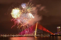 Le Vietnam propose d'annuler les feux d'artifice pour le Nouvel An lunaire 