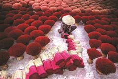 Un photographe qui expose le Vietnam à travers le monde
