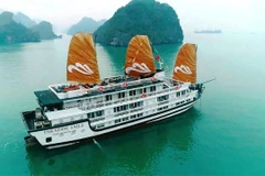 Lancement des bateaux de croisière Paradise Sails sur la baie d'Ha Long