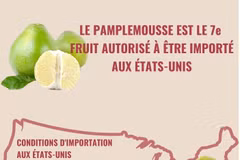 Le pamplemousse est le 7e fruit vietnamien autorisé à être importé aux États-Unis