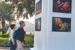 Les 80 ans du Programme sur la culture vietnamienne se fêtent en films, en photos et en livres