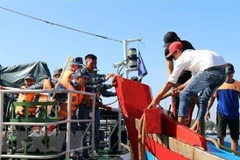 Binh Dinh: sauvetage de six pêcheurs à bord d'un navire coulé