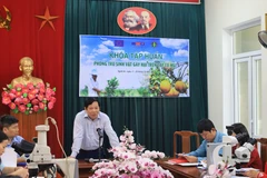 L'UE aide le Vietnam à renforcer la sécurité sanitaire de ses produits agricoles exportés