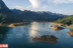 Immersion dans une nature grandiose au lac de Na Hang