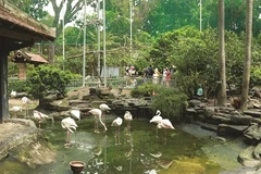 COVID-19 : Hô Chi Minh-Ville protège le zoo et le jardin botanique