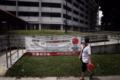 Singapour enregistre un record du nombre de cas de dengue en une semaine 