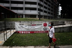 Singapour enregistre un record du nombre de cas de dengue en une semaine 