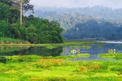 Réserve mondiale de biosphère de Dong Nai : "poumon vert" dans le Sud-Est