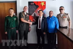 Diverses activités en l’honneur du 132e anniversaire du Président Ho Chi Minh à l’étranger