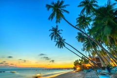 Le Vietnam est une excellente destination après la pandémie de COVID-19, selon un magazine américain