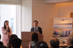 Perspectives de développement du tourisme entre le Vietnam et le Japon