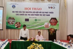 Promouvoir les valeurs économiques du bambou vietnamien
