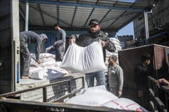 Le Vietnam s’engage à octroyer 50.000 dollars aux activités d’assistance aux réfugiés palestiniens