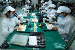 De nombreux potentiels pour le commerce Vietnam-Hongrie