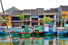 Quang Nam mise sur le tourisme vert