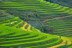 Sa Pa et Ninh Binh dans le top des destinations les plus attrayantes en Asie