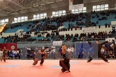 Algérie: lancement des démarches en vue d'intégrer le Vo Vietnam au sein des écoles