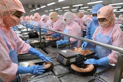 Allemagne - Vietnam: un potentiel de coopération très important