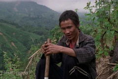 Des films vietnamiens sont présentés au Festival international du film de Singapour