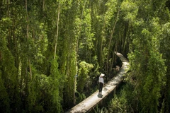 Les plus belles routes du Vietnam doivent absolument être explorées