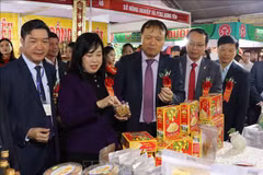 Ouverture de la foire sur l’industrie auxiliaire et de produits OCOP du delta du fleuve Rouge