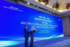 Le Vietnam et Hainan (Chine) promouvent la coopération économique et d'investissement