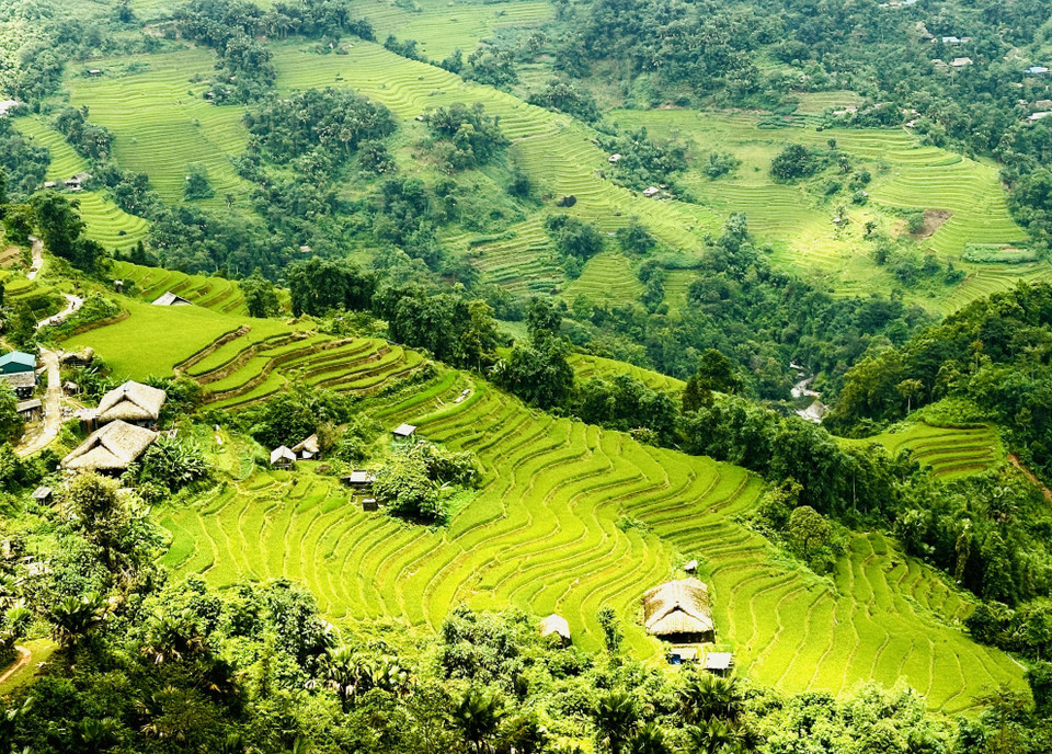 La beauté de Xa Phin réside dans l'harmonie entre ses rizières en terrasses et ses maisons à toits de chaume visibles à travers la brume matinale. Photo: VNA