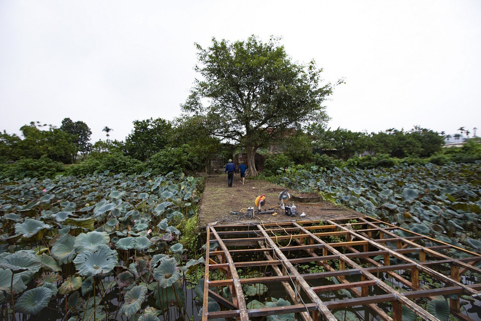 Les constructions modernes et les cultures alentour menacent l’intégrité de ce site ancien. Photo : VNA