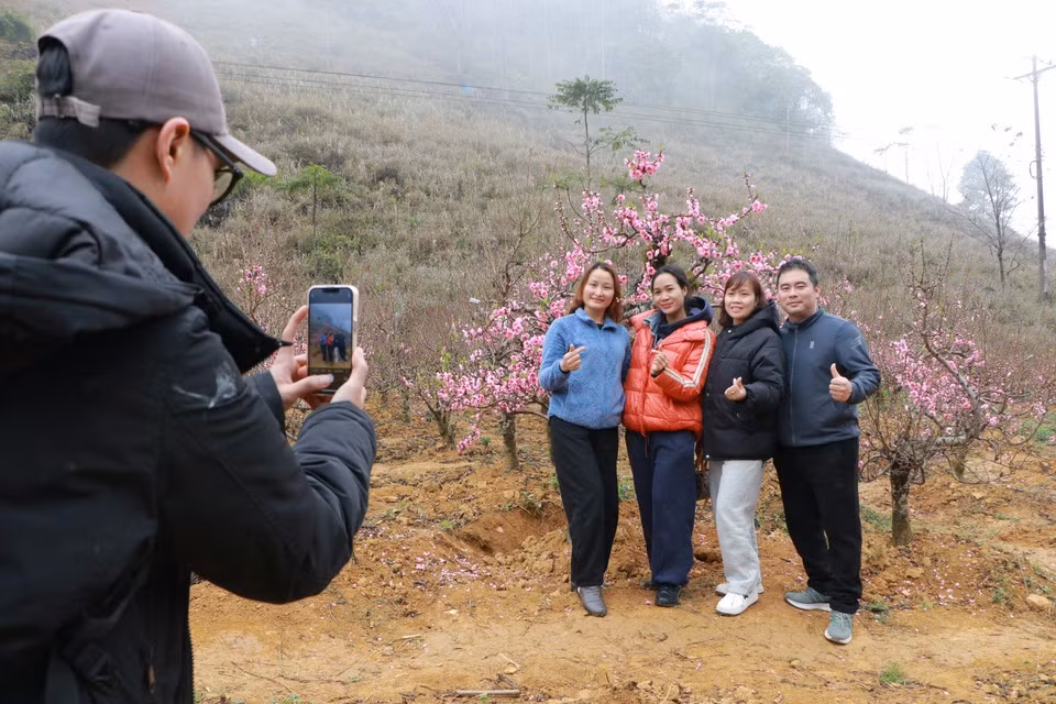 À Lao Cai, les visiteurs se disent ravis de découvrir les paysages printaniers à l’approche du Nouvel An lunaire. Photo : Vietnam+