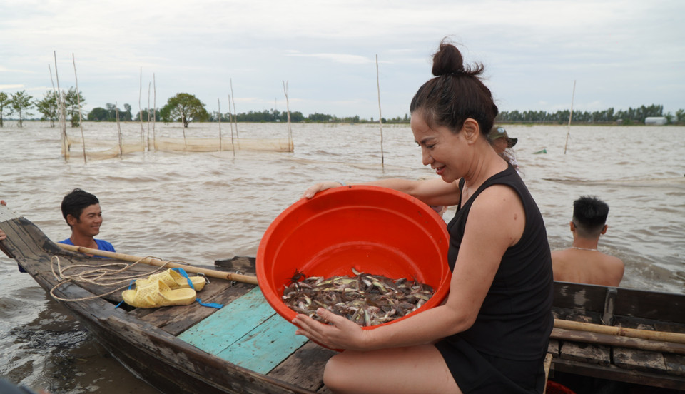Différentes espèces de poissons d'eau douce pêchées par les touristes. Photo: VNA
