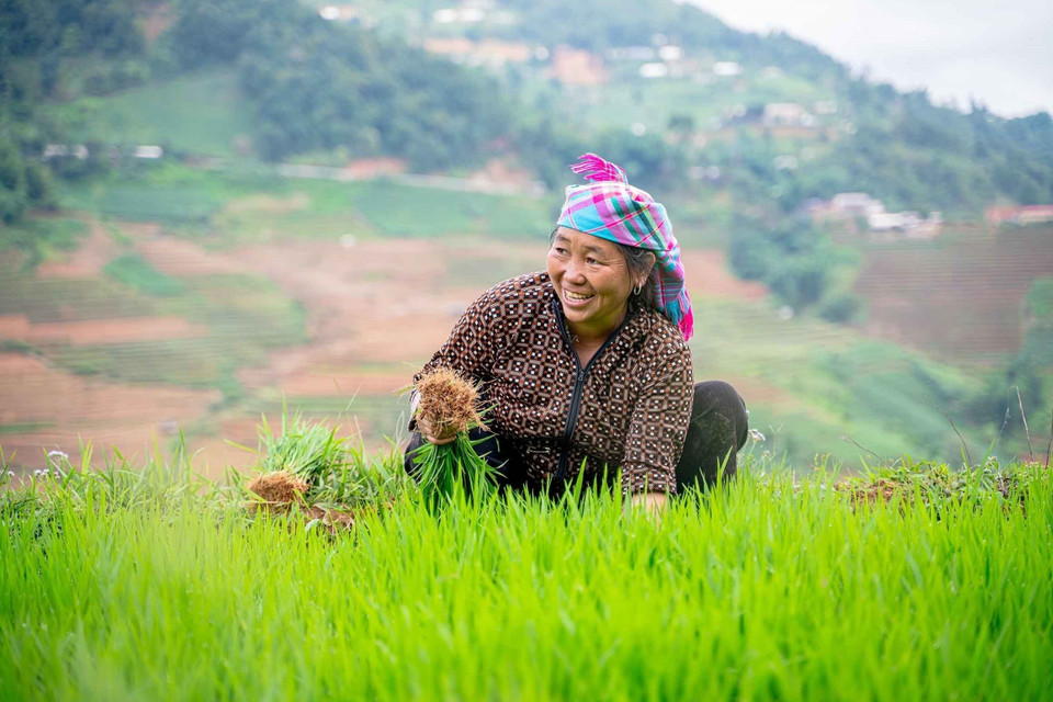 Vieilles de plusieurs générations, les rizières en terrasses de Mù Cang Chai témoignent d’un savoir-faire transmis au fil du temps. Photo: VNA