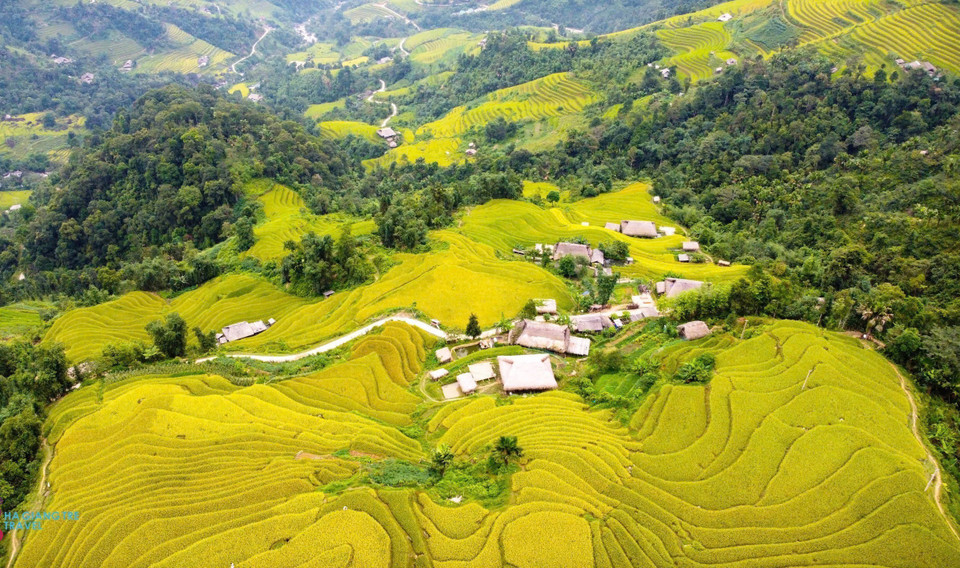 Niché à plus de 1 000 mètres d'altitude dans les hautes montagnes de Tây Côn Linh, le hameau de Xa Phin, situé dans la commune de Thanh Thuy (province de Tuyên Quang), captive par son paysage singulier. Les maisons aux toits de palmes recouverts de mousse et les rizières en terrasses qui ondulent à flanc de montagne composent un décor naturel à la fois sauvage et poétique. Photo: VNA
