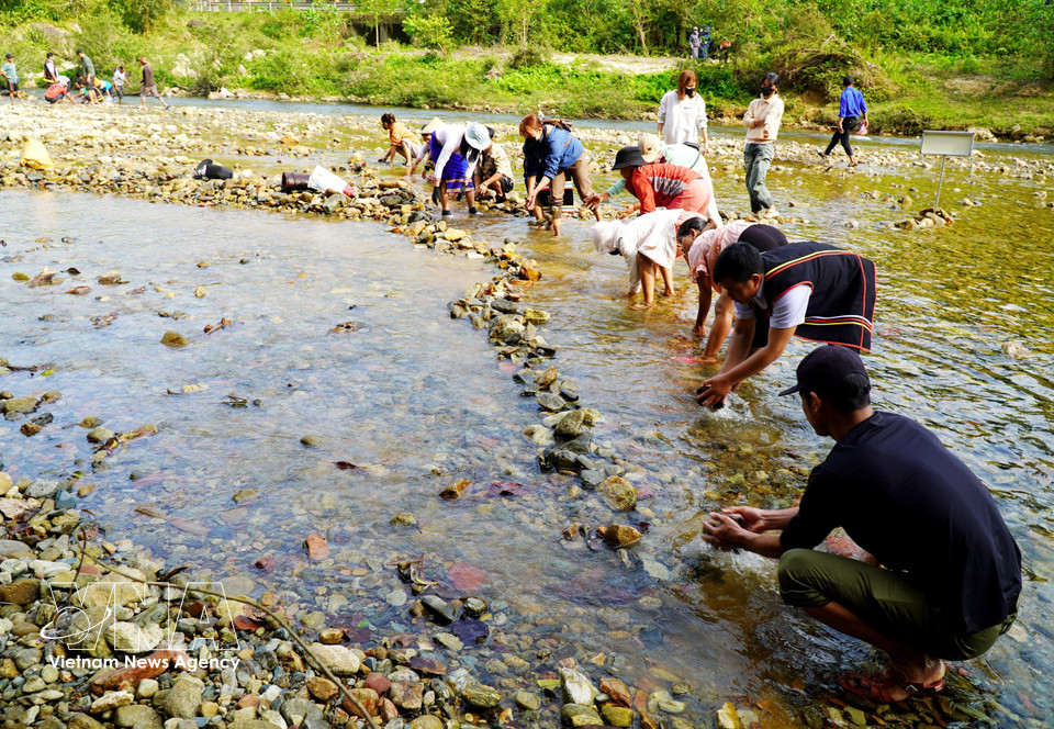 Un grand nombre d'habitants de la commune se sont rassemblés à la rivière Truong, transportant avec enthousiasme des pierres pour construire des barrages et créer une zone pour la pêche. Photo: VNA