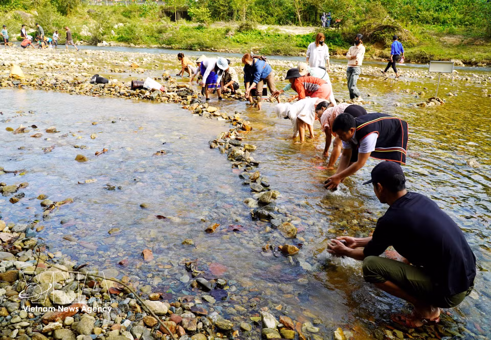 Un grand nombre d'habitants de la commune se sont rassemblés à la rivière Truong, transportant avec enthousiasme des pierres pour construire des barrages et créer une zone pour la pêche. Photo: VNA
