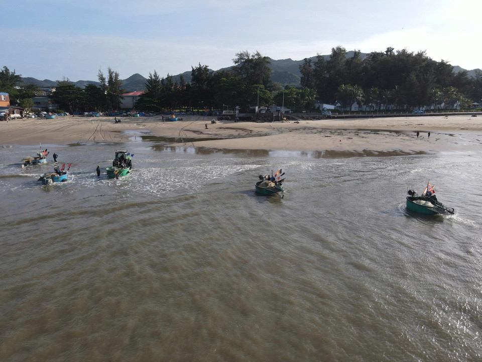 De Long Hai à Tam Thang, dès l’aube, les petites barques rondes regagnent le rivage les unes après les autres, chargées de poissons frais et rapportant à terre des prises abondantes. Photo: VNA