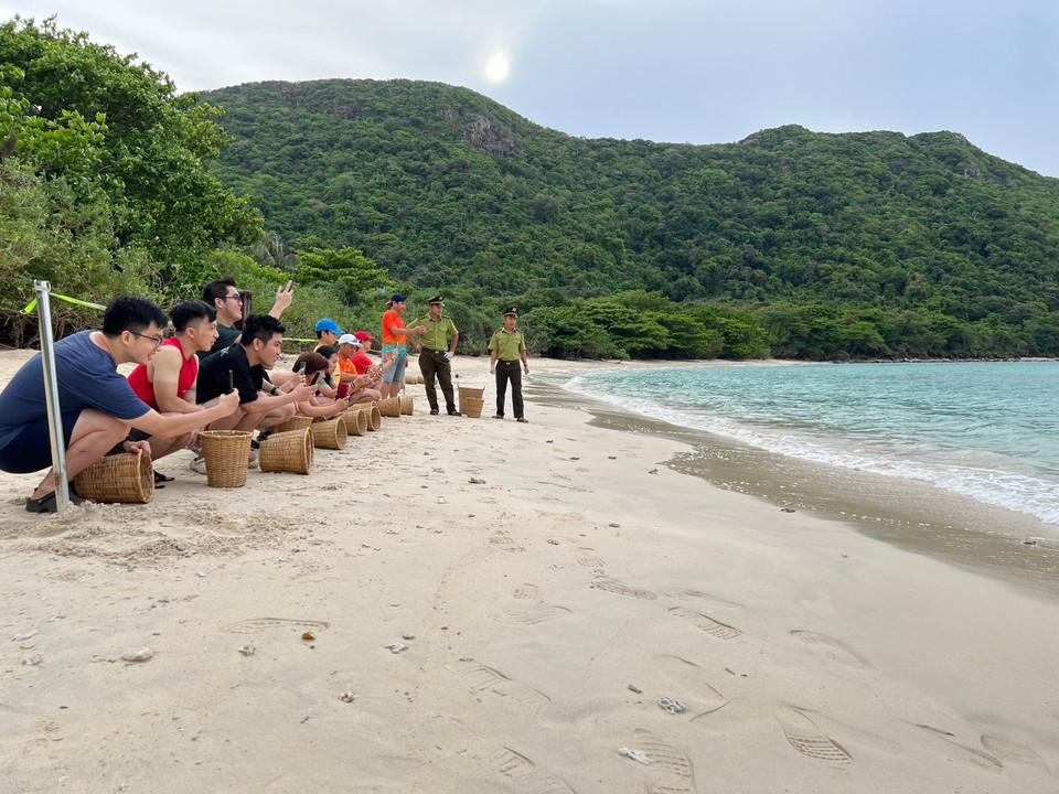 Des visiteurs vivent l'émouvant moment de relâcher de jeunes tortues dans leur habitat naturel, l'océan. Photo: VNA