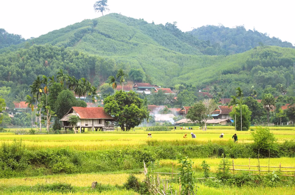 La vallée de Binh Chuân, dans la province de Nghê An, compte plus de 180 hectares de rizières irriguées, dont plus de 80 hectares se situent à une hauteur de 1 à 3 mètres au-dessus du niveau du ruisseau, nécessitant l’aide du système de norias pour l’approvisionnement en eau. Photo : VNA