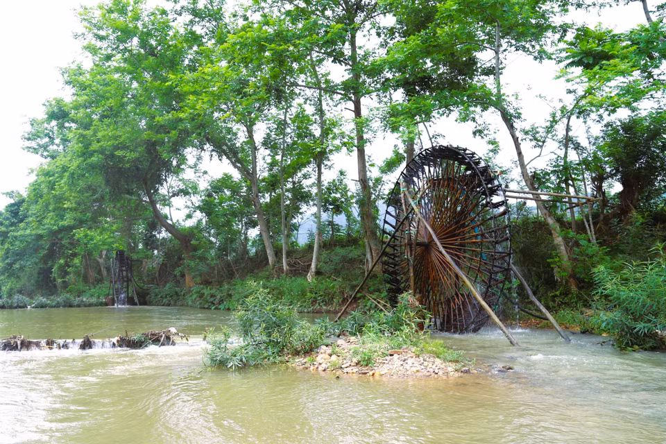 Pour l’ethnie thaï de la vallée de Binh Chuân, la noria fait depuis longtemps partie intégrante du quotidien agricole. Bien plus qu’un simple outil traditionnel, elle joue un rôle déterminant dans l’irrigation des rizières et demeure l’un des facteurs essentiels garantissant le succès des récoltes. Photo : VNA