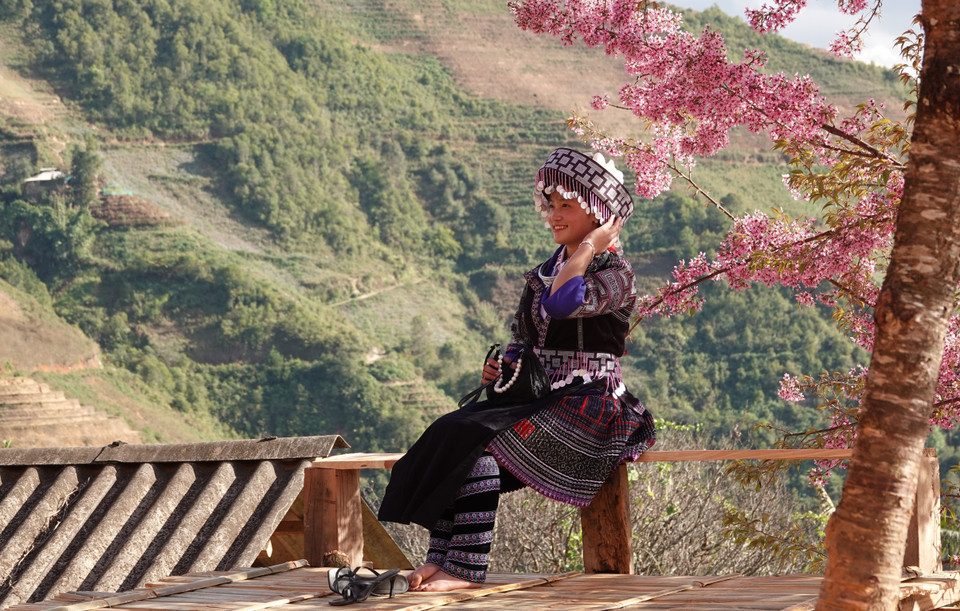 Chaque année, à la saison des fleurs de cerisier sauvage, Mu Cang Chai organise un festival annuel qui attire de nombreux touristes. Photo : VNA