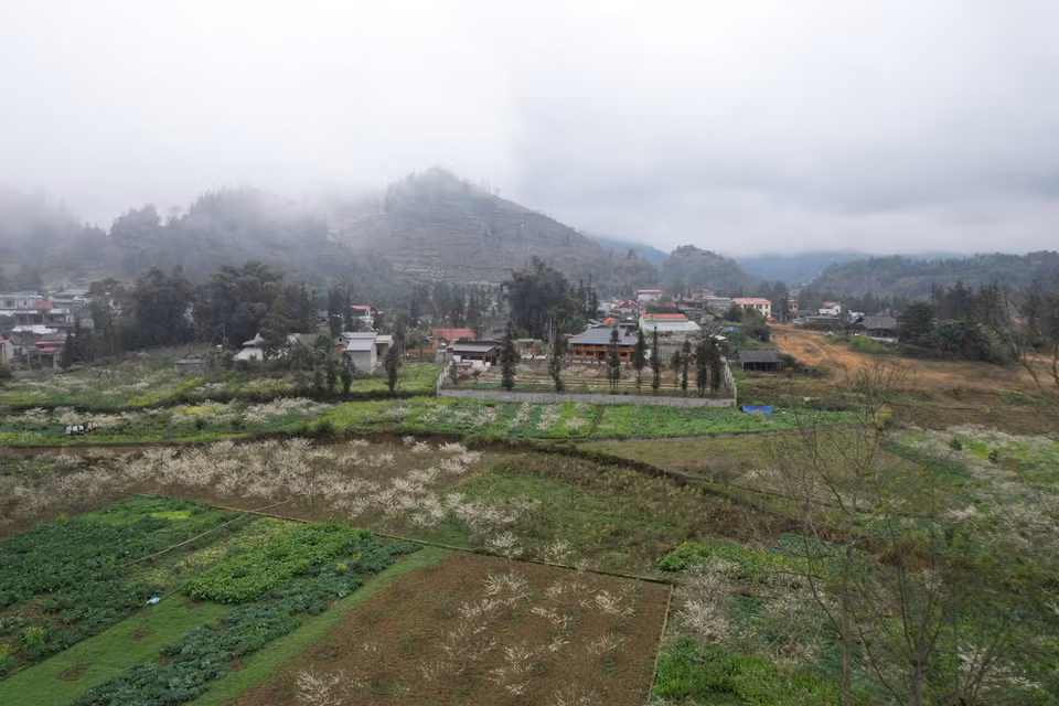 Le plateau de Bac Ha est une destination de rêve pour les amoureux de la nature, et le printemps est sans doute la saison la plus spectaculaire pour le visiter. Photo: VNA