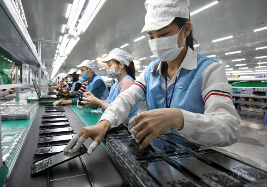 Le Vietnam exporte vers la Nouvelle-Zélande divers types de téléphones et de composants, des ordinateurs, des produits et composants électroniques, des fruits de mer, des noix de cajou et des chaussures. Sur la photo : chaîne de production de la société par actions Sun Tech à Bac Giang. Photo: VNA