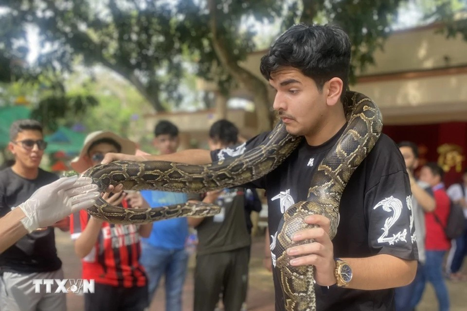 La ferme aux serpents de Dông Tâm jouit d'une telle renommée qu'elle attire chaque année des dizaines de milliers de visiteurs. En plus des serpents venimeux, les touristes peuvent admirer une grande variété d'autres reptiles, comme des pythons, des crocodiles et des tortues, des espèces devenues rares dans leur milieu naturel. Photo: VNA