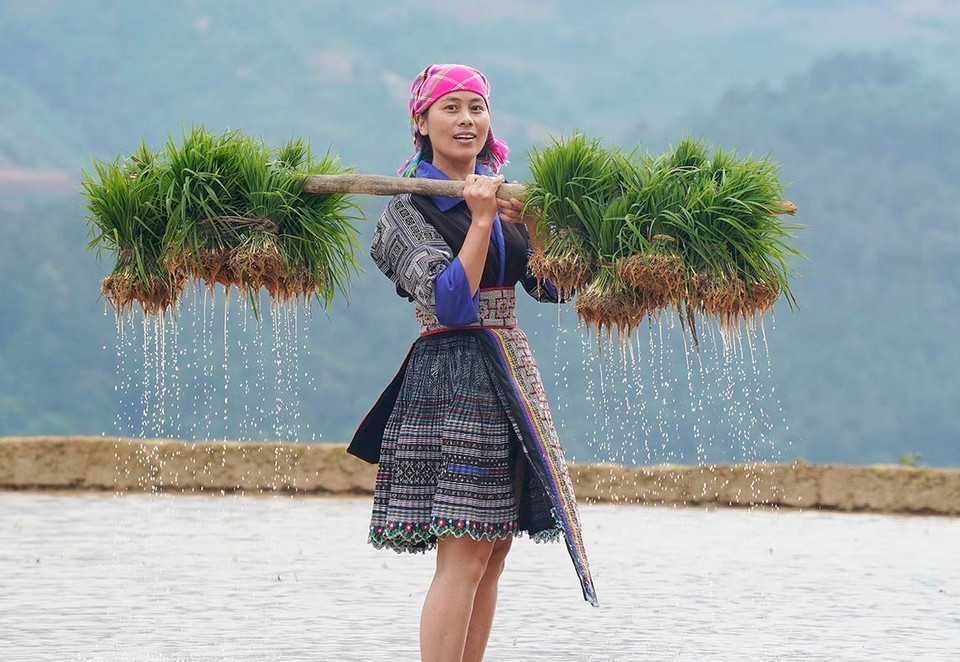 Les rizières en terrasses de Mù Cang Chai sont une œuvre remarquable témoignant de l’harmonie entre le travail de l’homme et la nature. Photo: VNA
