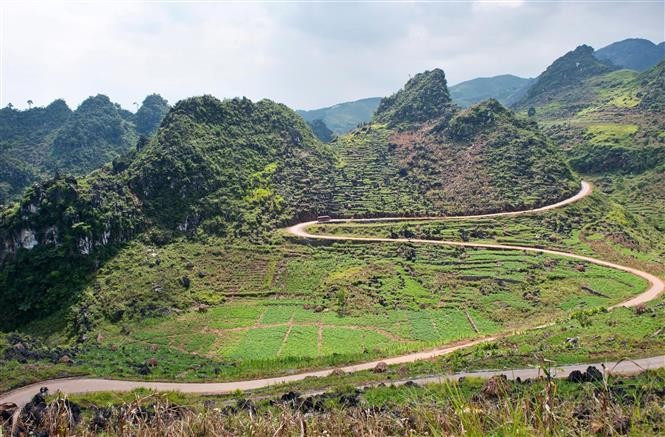 Premier géoparc vietnamien inscrit au Réseau mondial des géoparcs de l’UNESCO en 2010, Dông Van s’étend sur plus de 2.345 km² dans la province de Tuyen Quang. Photo: VNA