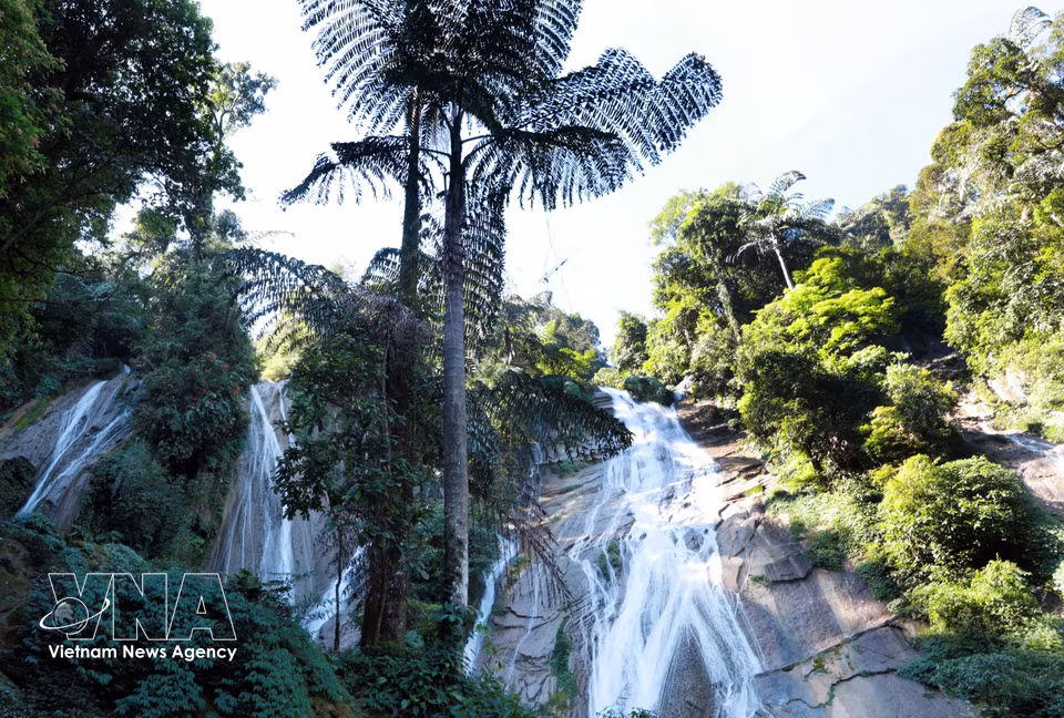 Les deux rives de la cascade abritent une végétation dense et variée. Photo : VNA